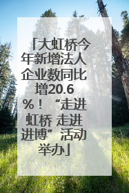 大虹桥今年新增法人企业数同比增20.6%！“走进虹桥 走进进博”活动举办