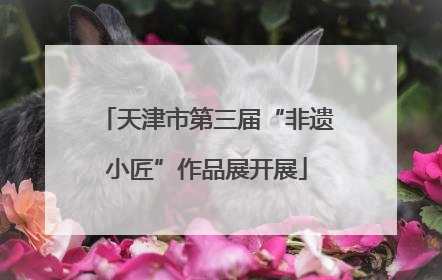 天津市第三届“非遗小匠”作品展开展