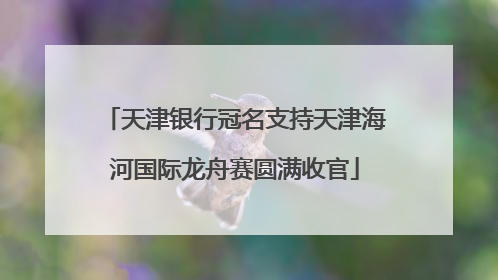天津银行冠名支持天津海河国际龙舟赛圆满收官