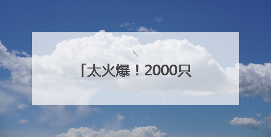 太火爆！2000只波龙预售被抢光，盒马四川遂宁首店开业