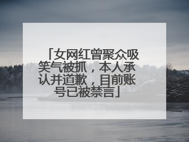 女网红曾聚众吸笑气被抓，本人承认并道歉，目前账号已被禁言
