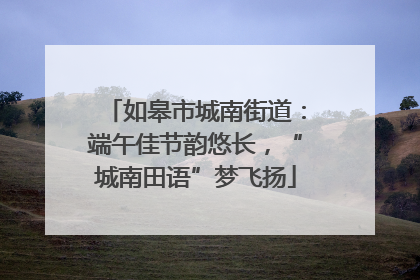 如皋市城南街道：端午佳节韵悠长，“城南田语”梦飞扬