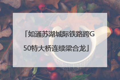 如通苏湖城际铁路跨G50特大桥连续梁合龙