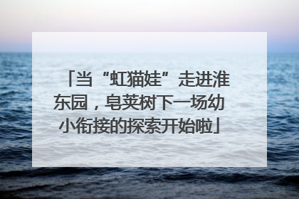 当“虹猫娃”走进淮东园，皂荚树下一场幼小衔接的探索开始啦