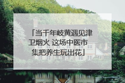当千年岐黄遇见津卫烟火 这场中医市集把养生玩出花
