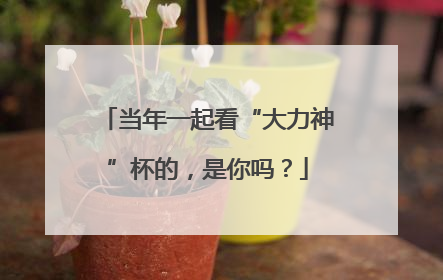 当年一起看“大力神”杯的，是你吗？