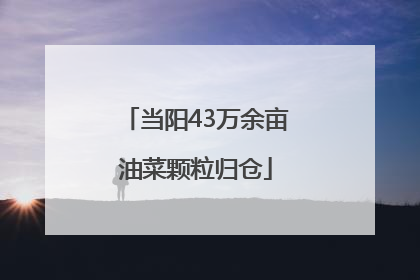 当阳43万余亩油菜颗粒归仓
