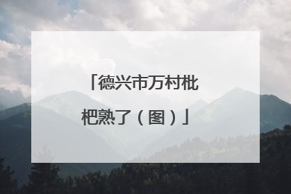 德兴市万村枇杷熟了（图）