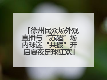徐州民众场外观直播与“苏超”场内球迷“共振”开启夏夜足球狂欢