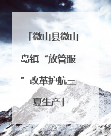 微山县微山岛镇“放管服”改革护航三夏生产