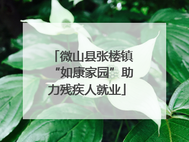 微山县张楼镇“如康家园”助力残疾人就业