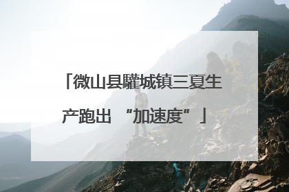 微山县驩城镇三夏生产跑出 “加速度”