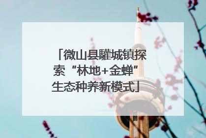 微山县驩城镇探索“林地+金蝉”生态种养新模式
