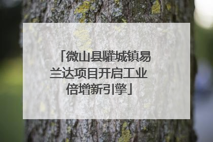 微山县驩城镇易兰达项目开启工业倍增新引擎