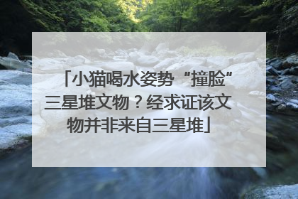 小猫喝水姿势“撞脸”三星堆文物？经求证该文物并非来自三星堆