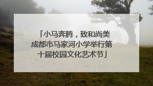 小马奔腾，致和尚美 成都市马家河小学举行第十届校园文化艺术节