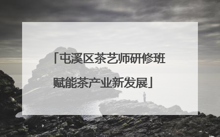 屯溪区茶艺师研修班赋能茶产业新发展