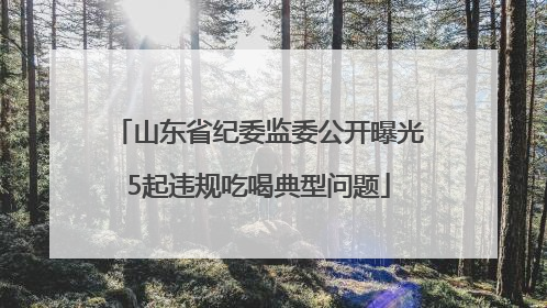 山东省纪委监委公开曝光5起违规吃喝典型问题