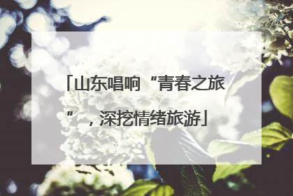 山东唱响“青春之旅”，深挖情绪旅游