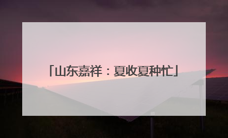 山东嘉祥：夏收夏种忙