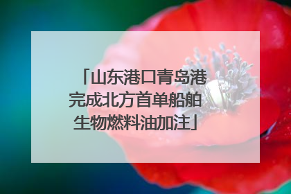 山东港口青岛港完成北方首单船舶生物燃料油加注