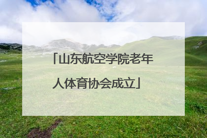 山东航空学院老年人体育协会成立