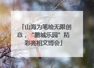 山海为笔绘无限创意，“鹏城乐园”精彩亮相文博会