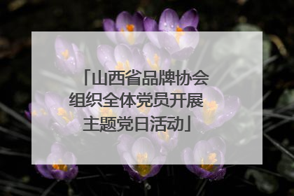 山西省品牌协会组织全体党员开展主题党日活动