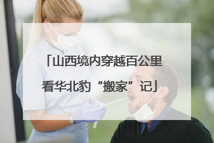 山西境内穿越百公里 看华北豹“搬家”记