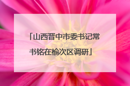山西晋中市委书记常书铭在榆次区调研