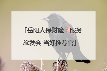 岳阳人保财险：服务旅发会 当好推荐官