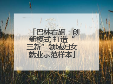 巴林右旗：创新模式 打造“三新”领域妇女就业示范样本