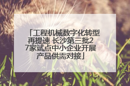 工程机械数字化转型再提速 长沙第三批27家试点中小企业开展产品供需对接