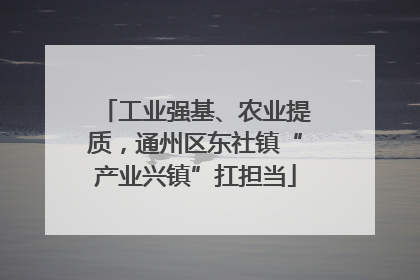 工业强基、农业提质，通州区东社镇“产业兴镇”扛担当