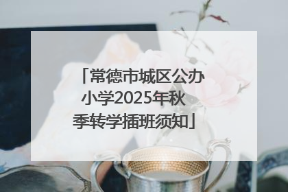 常德市城区公办小学2025年秋季转学插班须知