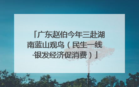 广东赵伯今年三赴湖南蓝山观鸟（民生一线·银发经济促消费）