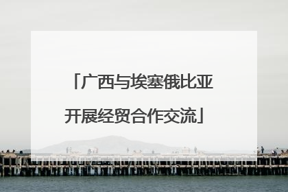 广西与埃塞俄比亚开展经贸合作交流