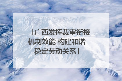 广西发挥裁审衔接机制效能 构建和谐稳定劳动关系