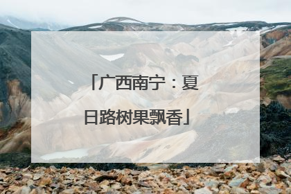 广西南宁：夏日路树果飘香