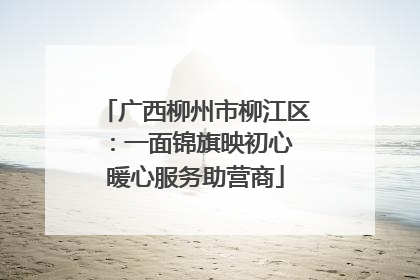 广西柳州市柳江区：一面锦旗映初心 暖心服务助营商