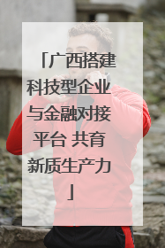 广西搭建科技型企业与金融对接平台 共育新质生产力