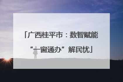 广西桂平市：数智赋能“一窗通办”解民忧