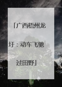 广西梧州龙圩：动车飞驰过田野