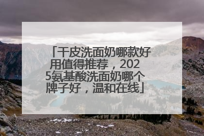 干皮洗面奶哪款好用值得推荐，2025氨基酸洗面奶哪个牌子好，温和在线