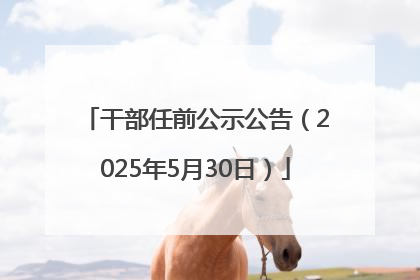 干部任前公示公告（2025年5月30日）
