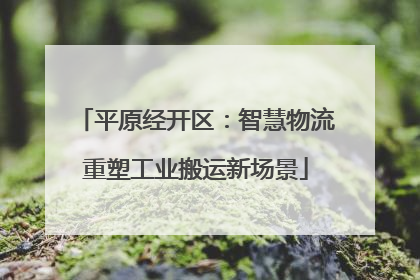 平原经开区：智慧物流重塑工业搬运新场景