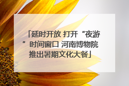 延时开放 打开“夜游”时间窗口 河南博物院推出暑期文化大餐