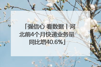 强信心 看数据丨河北前4个月快递业务量同比增40.6%