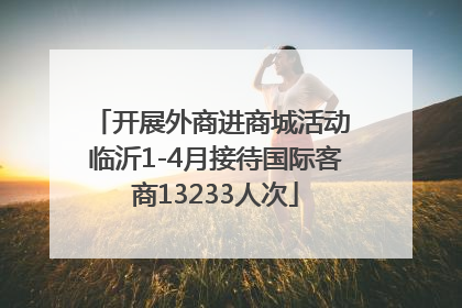 开展外商进商城活动 临沂1-4月接待国际客商13233人次