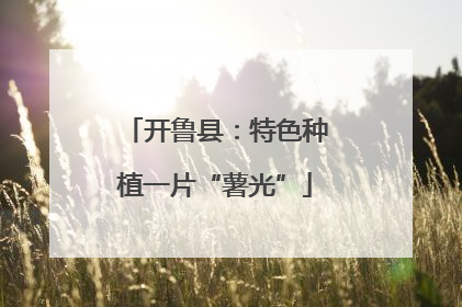 开鲁县：特色种植一片“薯光”